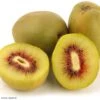 Kiwi - Actinidia Deliciosa Kiwi Wonder -Magasin De Plantes Actinidia deliciosa Wonder 84702 1