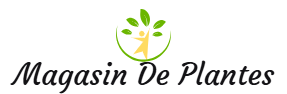 Magasin De Plantes